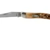Case Small Texas Toothpick Genuine Stag 05532, 510096 SS Pocket Knife -Case Knives Sales CE05532 01 case