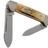 Case Baby Butterbean Genuine Stag 05537, 52132W SS Pocket Knife 2 Case Baby Butterbean Genuine Stag 05537, 52132W SS Pocket Knife -Case Knives Sales CE05537 01 case 1