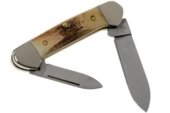 Case Baby Butterbean Genuine Stag 05537, 52132W SS Pocket Knife 8 Case Baby Butterbean Genuine Stag 05537, 52132W SS Pocket Knife -Case Knives Sales CE05537 02 case 1