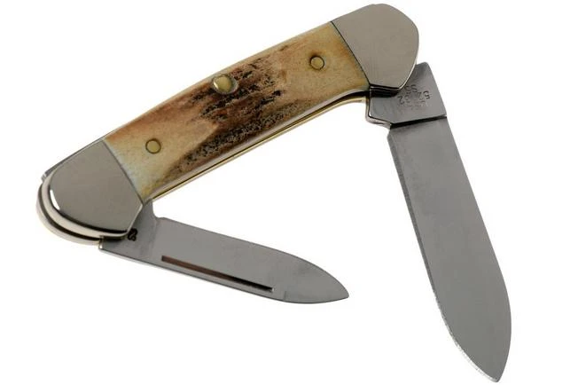 Case Baby Butterbean Genuine Stag 05537, 52132W SS Pocket Knife 4 Case Baby Butterbean Genuine Stag 05537, 52132W SS Pocket Knife - Image 2