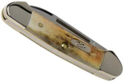 Case Baby Butterbean Genuine Stag 05537, 52132W SS Pocket Knife 10 Case Baby Butterbean Genuine Stag 05537, 52132W SS Pocket Knife -Case Knives Sales CE05537 04 case 1