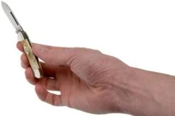 Case Baby Butterbean Genuine Stag 05537, 52132W SS Pocket Knife 11 Case Baby Butterbean Genuine Stag 05537, 52132W SS Pocket Knife -Case Knives Sales CE05537 05 case 1