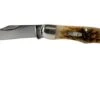 Case Pocket Hunter Amber Jigged Bone, 10727, 61165 SS Pocket Knife -Case Knives Sales CE10727 01 case