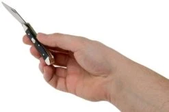 Case Mini Trapper Mediterranean Blue Smooth Bone, 11192, 6207 SS Pocket Knife -Case Knives Sales CE11192 05 case