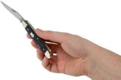 Case Muskrat Mediterranean Blue Smooth Bone, 11197, MUSKRAT SS Pocket Knife -Case Knives Sales CE11197 05 case