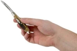 Case Tear Drop Bose Limited XX Edition Honeycomb Bone Russell Jigged, 11978, TB61028 SS Pocket Knife -Case Knives Sales CE11978 07 case