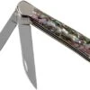 Case Copperhead Abalone, 12023, 8249W SS Pocket Knife, Gift Box 1 Case Copperhead Abalone, 12023, 8249W SS Pocket Knife, Gift Box -Case Knives Sales CE12023 01 case 1