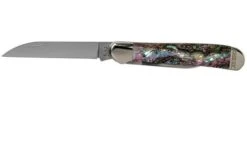 Case Copperhead Abalone, 12023, 8249W SS Pocket Knife, Gift Box 9 Case Copperhead Abalone, 12023, 8249W SS Pocket Knife, Gift Box -Case Knives Sales CE12023 03 case 1