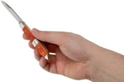 Case TB61028 SS Tequila Sunrise Bone Tear Drop 15 Case TB61028 SS Tequila Sunrise Bone Tear Drop -Case Knives Sales CE14481 07 case 1