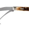 Case Equestrian Amber Jigged Bone, 00144, 6254HP SS Pocket Knife -Case Knives Sales CE144 01 case ce144 01
