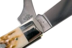 Case Equestrian Amber Jigged Bone, 00144, 6254HP SS Pocket Knife -Case Knives Sales CE144 06 case ce144 06