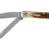 Case Trapper Amber Jigged Bone, 00164, 6254 SS Pocket Knife -Case Knives Sales CE164 01 case ce164 01