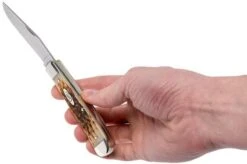 Case Trapper Amber Jigged Bone, 00164, 6254 SS Pocket Knife 19 Case Trapper Amber Jigged Bone, 00164, 6254 SS Pocket Knife -Case Knives Sales CE164 09 case ce164 09