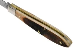 Case Tear Drop, Amber Bone, Sawcut Jig, 17895, TB61028 SS Pocket Knife -Case Knives Sales CE17895 05 case