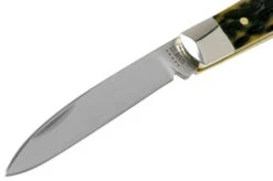 Case Tear Drop, Tang Stamp Series, Peach Seed Jig, Olive Green Bone 21510, TB61028 SS Pocket Knife 10 Case Tear Drop, Tang Stamp Series, Peach Seed Jig, Olive Green Bone 21510, TB61028 SS Pocket Knife -Case Knives Sales CE21510 03 case