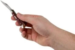 Case Peanut Burgundy Smooth Kirinite, Fluted Bolsters, 23183, 10220 SS Pocket Knife -Case Knives Sales CE23183 05 case