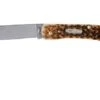 Case Sod Buster Jr Amber Jigged Bone, 00245, 6137 SS Pocket Knife -Case Knives Sales CE245 01 case ce245 01