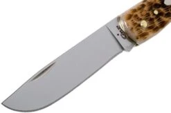 Case Sod Buster Jr Amber Jigged Bone, 00245, 6137 SS Pocket Knife -Case Knives Sales CE245 03 case ce245 03