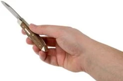 Case Tear Drop Bose Brown Sycamore Wood, 27268, TB72028 SS Pocket Knife -Case Knives Sales CE27268 05 case