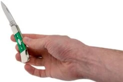 Case Lockback SparXX Green Pearl Kirinite Smooth, 27372, 101225L SS Pocket Knife 15 Case Lockback SparXX Green Pearl Kirinite Smooth, 27372, 101225L SS Pocket Knife -Case Knives Sales CE27372 07 case