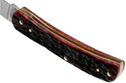 Case Sod Buster Jr Crimson Red Peach Seed Jigged Bone, 27383, 6137 SS Pocket Knife 13 Case Sod Buster Jr Crimson Red Peach Seed Jigged Bone, 27383, 6137 SS Pocket Knife -Case Knives Sales CE27383 05 case