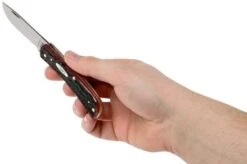 Case Sod Buster Jr Crimson Red Peach Seed Jigged Bone, 27383, 6137 SS Pocket Knife 15 Case Sod Buster Jr Crimson Red Peach Seed Jigged Bone, 27383, 6137 SS Pocket Knife -Case Knives Sales CE27383 07 case