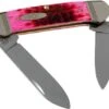 Case Knives Canoe Raspberry Bone, Standard Jig, 27722, 62131 SS Pocket Knife