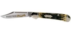 Case Copperlock, Pocket Worn Olive Green Bone, Peach Seed Jig, 38198, 61549L SS Pocket Knife