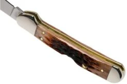 Case Mini Copperlock Brown Bone, Peach Seed Jig, 42655, 61749L SS Pocket Knife -Case Knives Sales CE42655 04 case