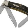 Case Sowbelly Jigged Buffalo Horn 65015, TBBH339 SS Pocket Knife -Case Knives Sales CE65015 01 case