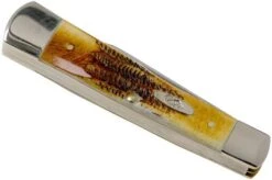 Case Gunstock 6.5 BoneStag, 65322, 6.52130 SS Pocket Knife -Case Knives Sales CE65322 04 case