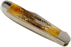 Case Copperhead 6.5 BoneStag, 65323, 6.5249 SS Pocket Knife -Case Knives Sales CE65323 04 case