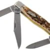 Case Stockman Amber Jigged Bone, 00079, 63032 CV Pocket Knife -Case Knives Sales CE79 01 case ce79 01